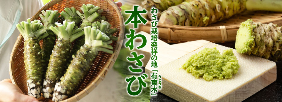 有東木の本わさび