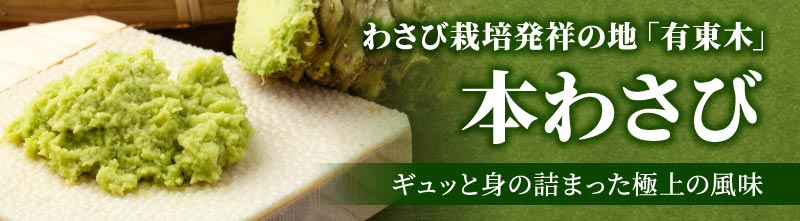 本わさび