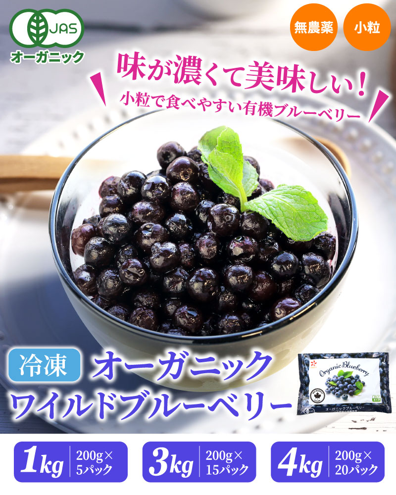 冷凍オーガニックワイルドブルーベリー JAS認定の有機果実 2年に1度しか実をつけない、栄養が凝縮された野生種