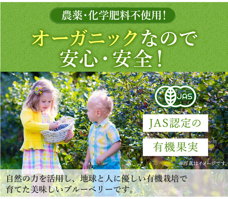 有機JAS認証。農薬・科学肥料不使用！自然の力を活用し、地球と人に優しい有機栽培で育てた美味しいブルーベリーです。