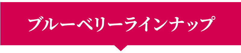 ブルーベリーラインナップはこちら