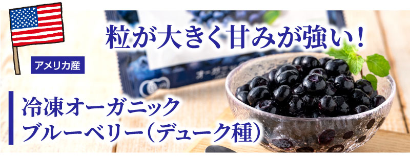 オーガニックブルーベリー（デューク種）