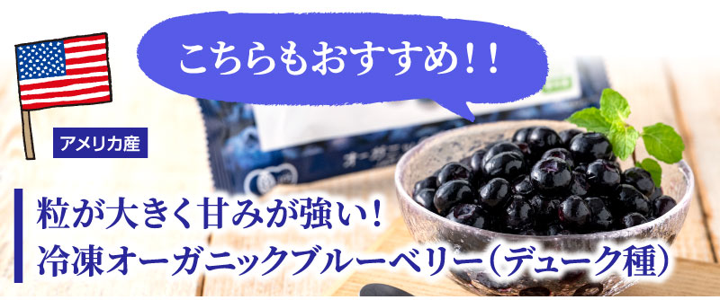 こちらもおすすめ！オーガニックブルーベリー