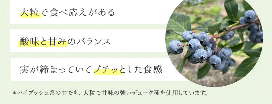 大粒で食べ応えがある 酸味と甘みのバランス 実が締まっていてプチッとした食感 ハイブッシュ系の中でも、大粒で甘味の強いデューク種を使用しています。