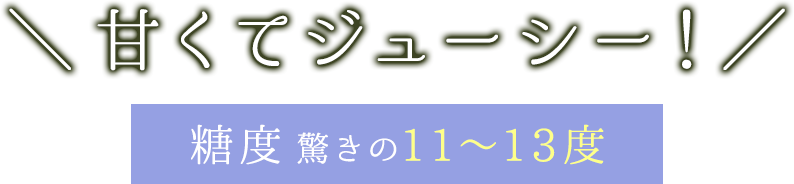 甘くてジューシー！糖度驚きの11〜13度