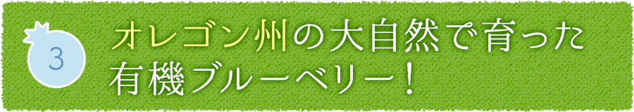 3 オレゴン州の大自然で育った有機ブルーベリー！