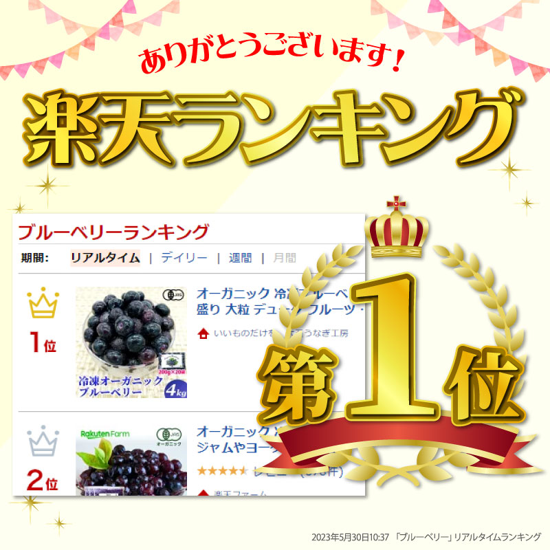 楽天ランキング1位獲得