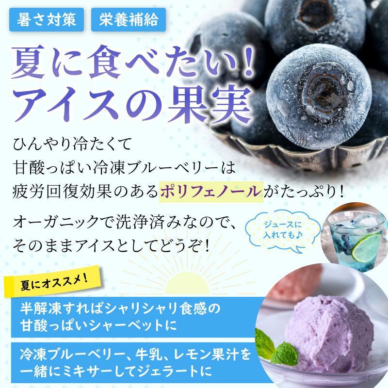 ポリフェノールたっぷり！夏に食べたい冷凍ブルーベリー