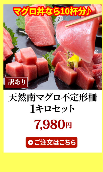 ミナミマグロ不定形柵