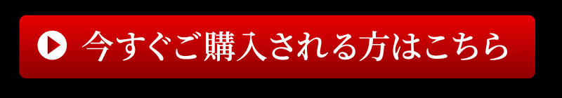 今すぐ購入