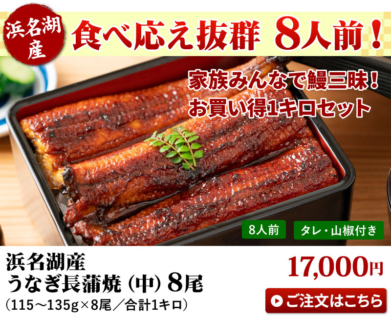 中うなぎ8尾