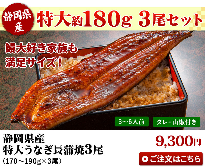 特大うなぎ3尾