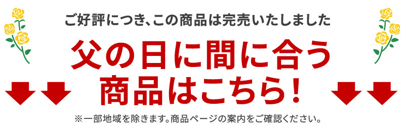 この商品なら父の日に間に合う
