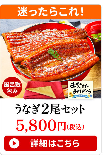 うなぎ2尾セット