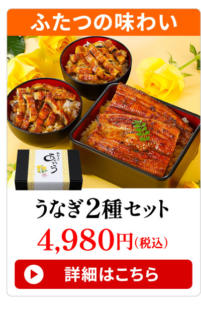 うなぎ2種セット