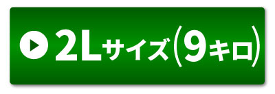 2Lサイズ9キロ