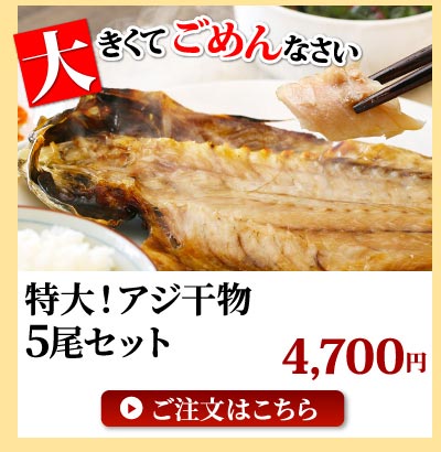 特大干物アジ5尾
