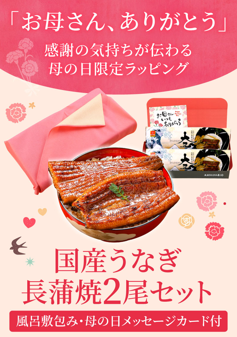 母の日用うなぎ蒲焼2尾