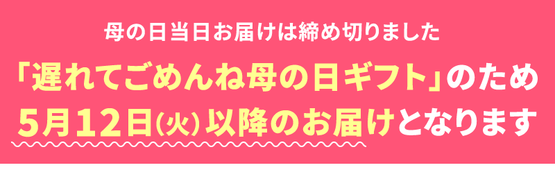 母の日遅れてごめんね