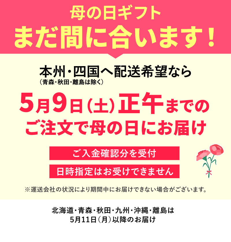 母の日まだ間に合う