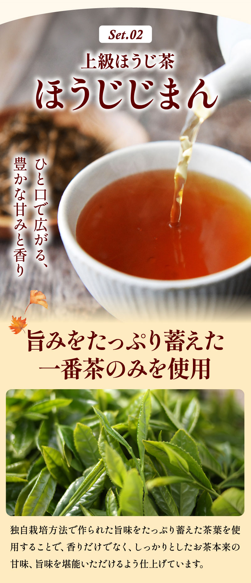 上級ほうじ茶「ほうじじまん」一番茶のみを使用