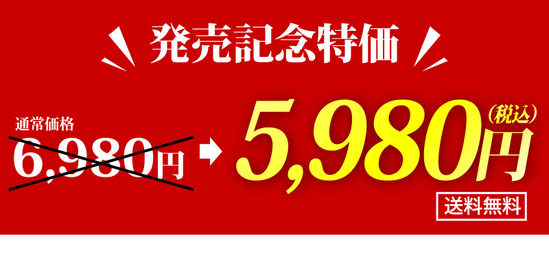 発売記念特価