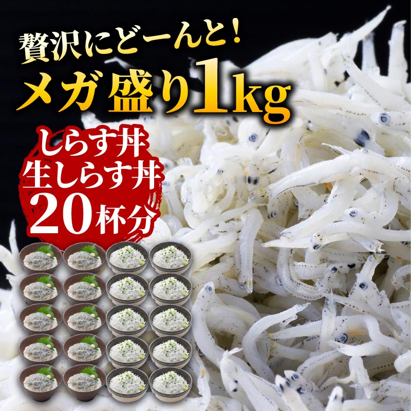 しらす丼20杯分