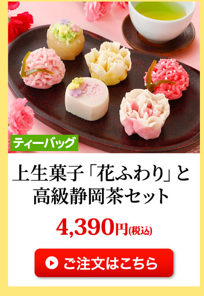 上生菓子と静岡茶セット