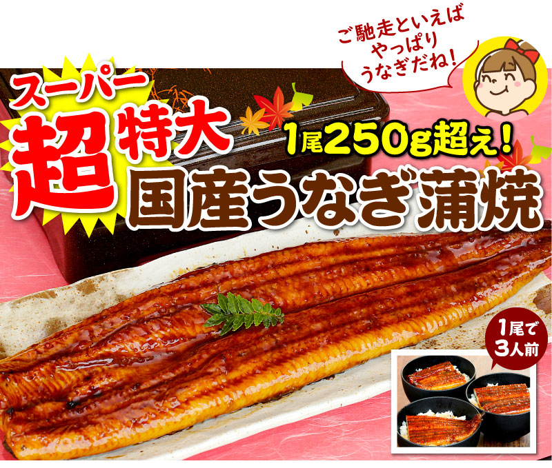 超特大国産うなぎ蒲焼
