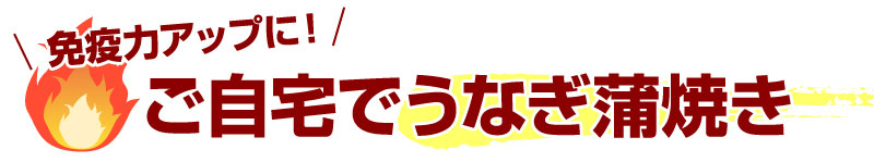 ご自宅用うなぎ蒲焼