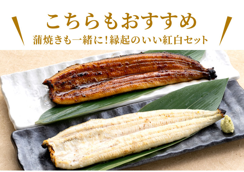 こちらもお勧め！紅白うなぎ