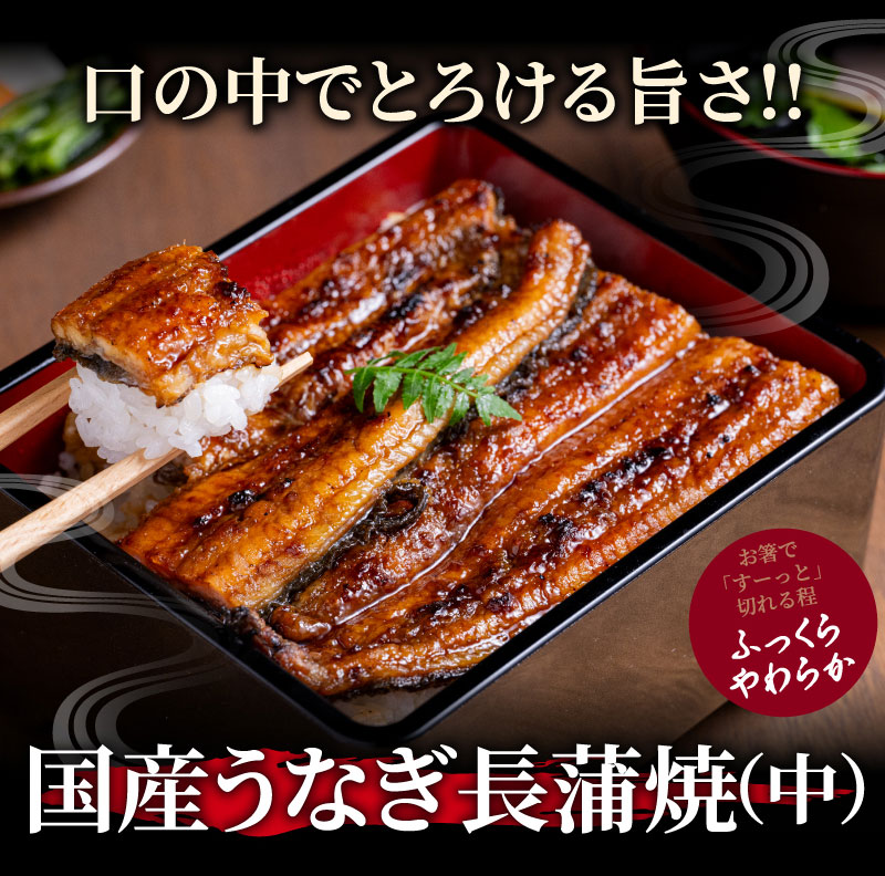 国産うなぎ