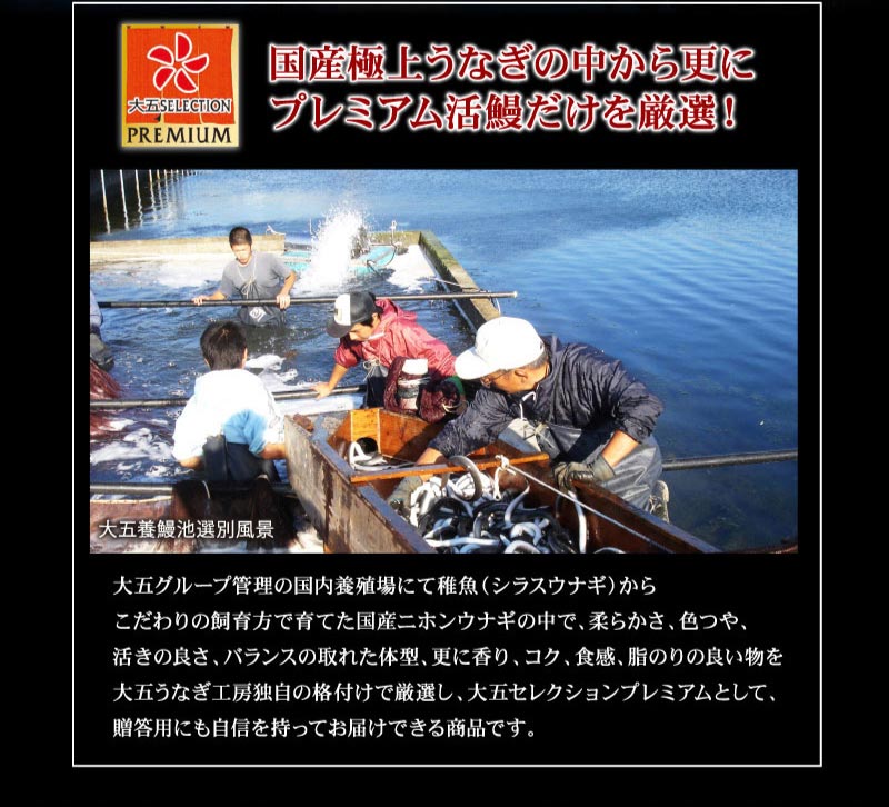 国産うなぎ