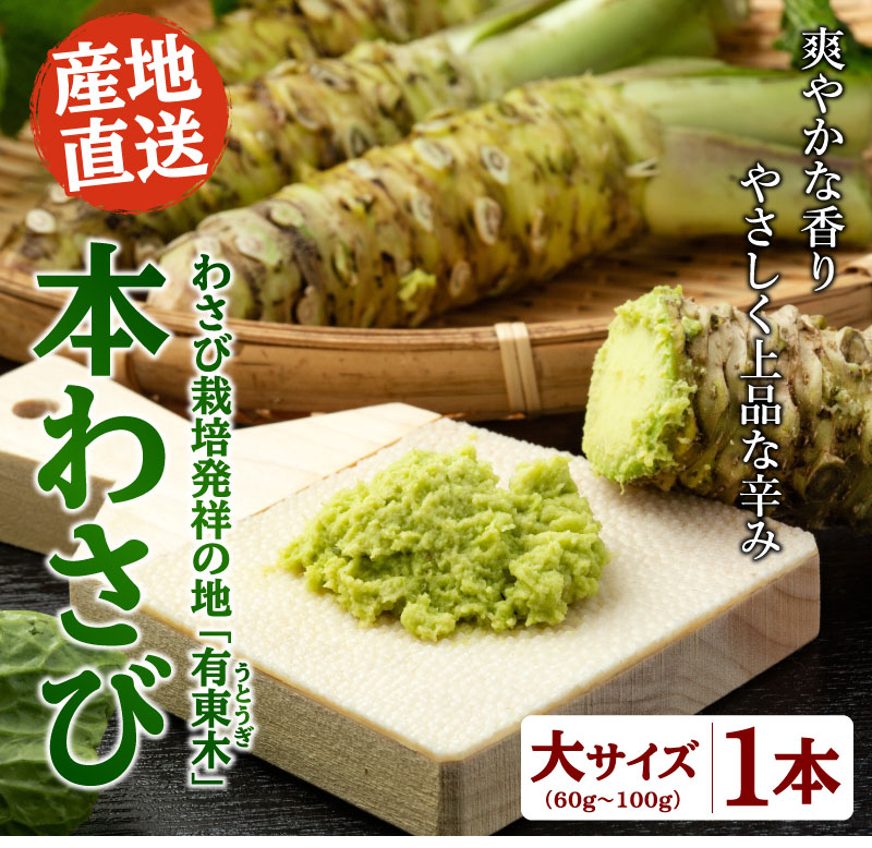 大物1本