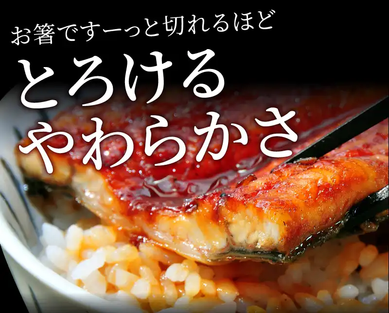 とろけるやわらかさ