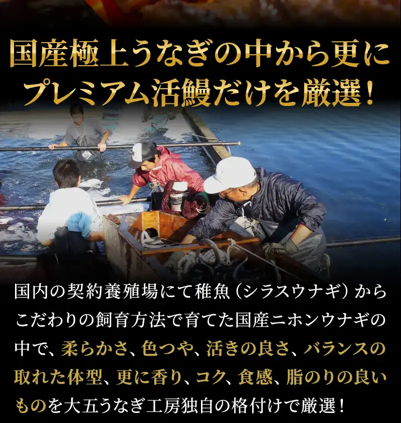 プレミアム活鰻だけを厳選