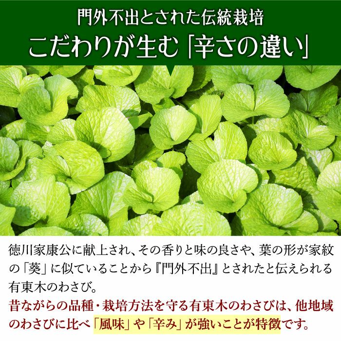 000000000019-08.jpg?size=l&w=