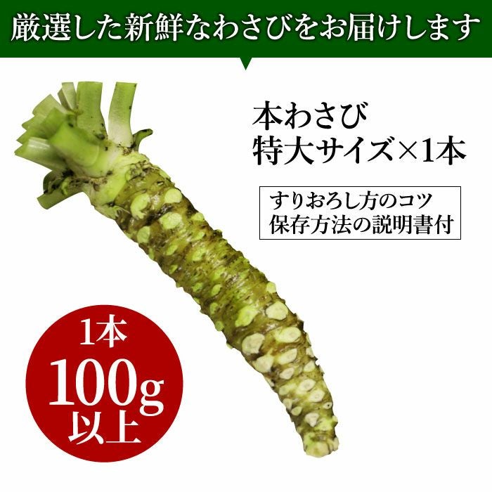 000000000019-12.jpg?size=l&w=