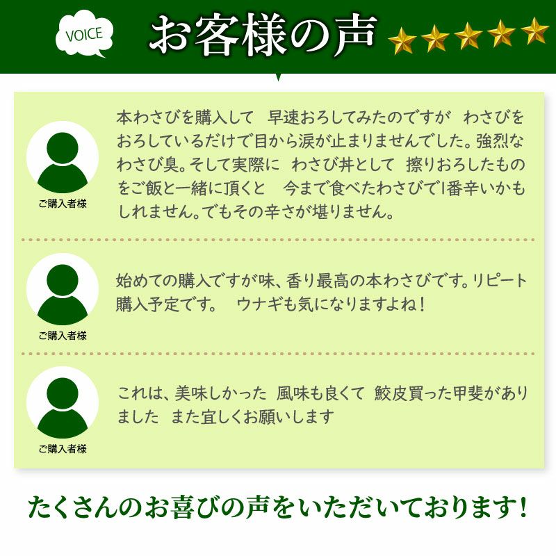 本生わさび 農家直送 収穫したて 大サイズ 特大サイズ 本わさび（特大サイズ／1本100g以上） 1本 | 大五グルメセレクション