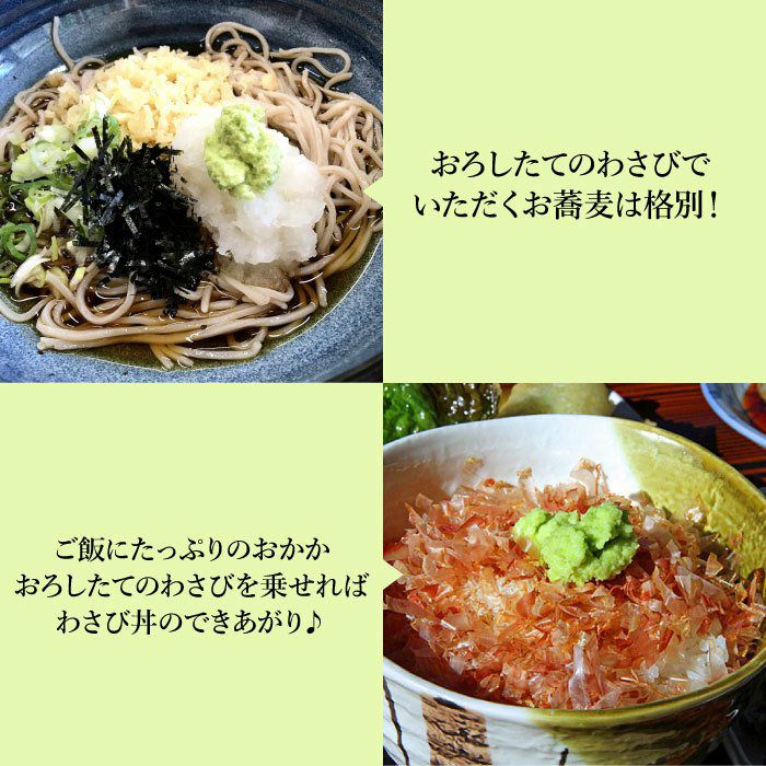 本わさび（特大サイズ／1本100g以上） 1本 | 大五グルメセレクション