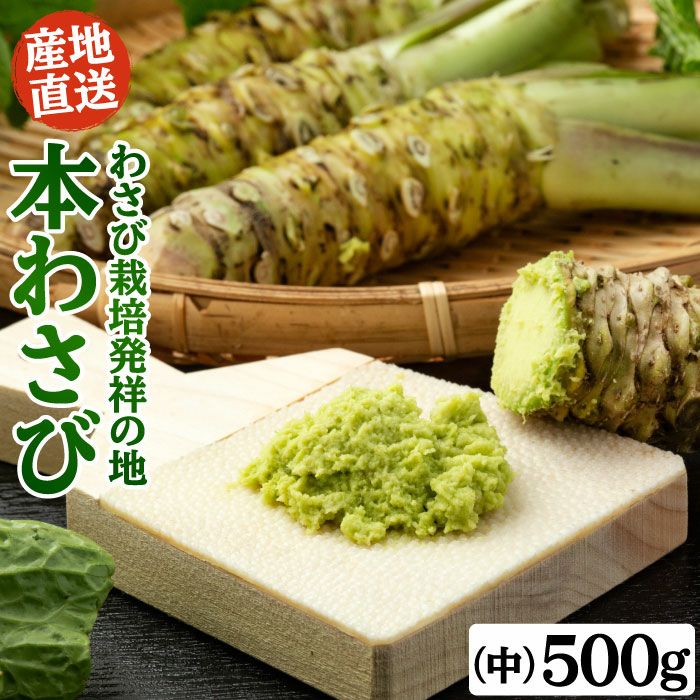 000000000020-01.jpg?size=m&w=