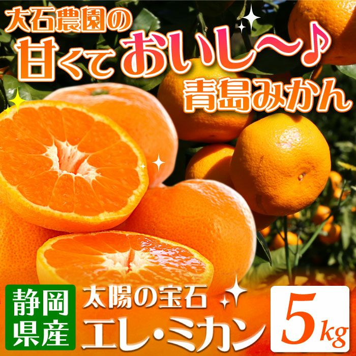 静岡県産みかんの定番「青島みかん」5kg【エレ・ミカン】 | 大五グルメ