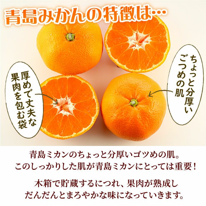 静岡県産みかんの定番「青島みかん」5kg【エレ・ミカン】 | 大五グルメ