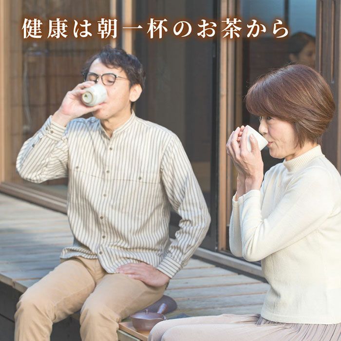お徳用 静岡茶 川根茶 100g×6袋 | 大五グルメセレクション（静岡産直