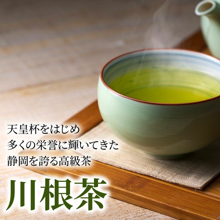 お徳用］掛川茶＆川根茶6袋（各100g×3袋） 飲み比べセット | 大五