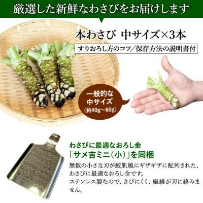わさび栽培発祥の地「有東木」の本わさび 中サイズ3本とさめ吉（ミニ