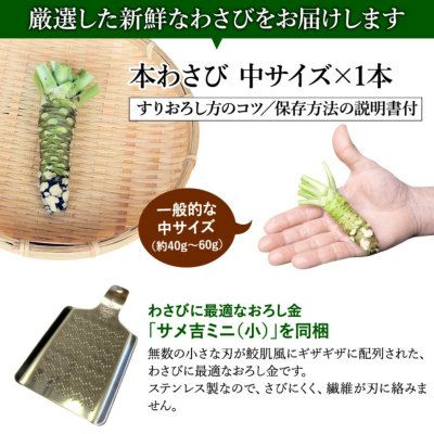 わさび栽培発祥の地「有東木」の本わさび 中サイズ1本（40g～60g
