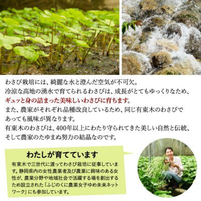 本生わさび 農家直送　使い切りサイズ 収穫したて 本生わさび 農家直送 お一人様サイズ 使い切りサイズ 500g - メルカリ