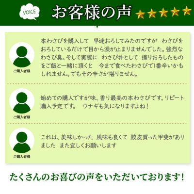 わさび栽培発祥の地「有東木」の本わさび 大サイズ1本（60g～100g