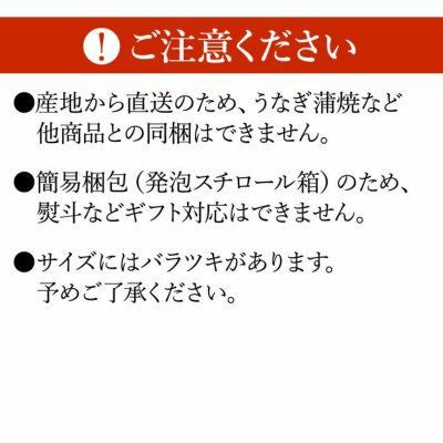 わさび栽培発祥の地「有東木」の本わさび 大サイズ1本（60g～100g